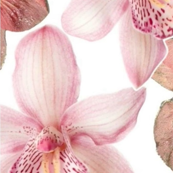 Meet your Posher, Lucy - Picture 1 of 1